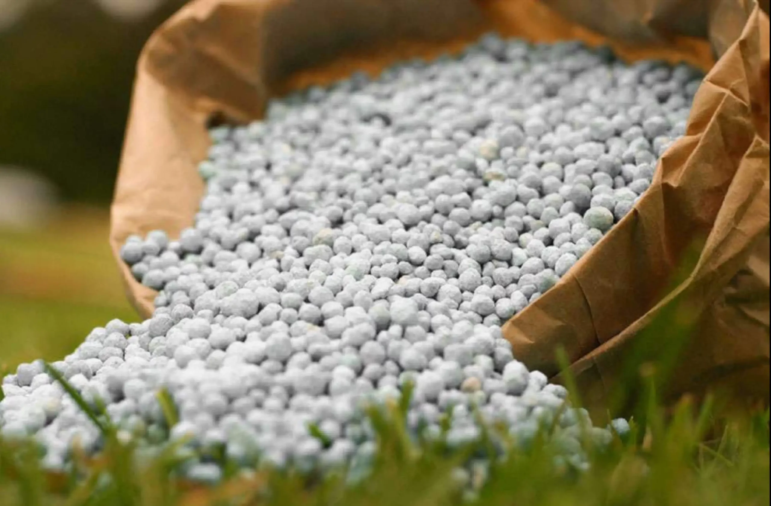 Fertilisant SIDAF